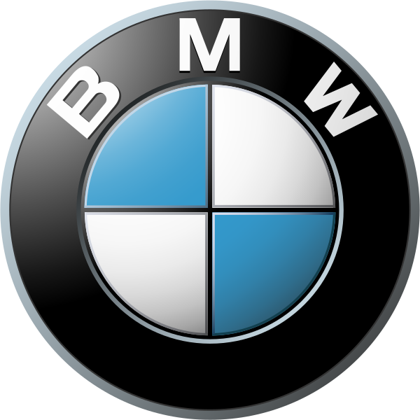 Mâchoires de frein arrière SBS pour BMW